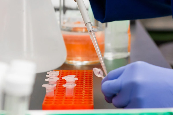 能力验证与尝试室间对比